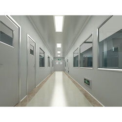 武汉食品厂净化车间设计与网络技术服务成本解析